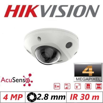 alarmpoint - hikvision - DS-2CD2543G2-IS-2.8mm